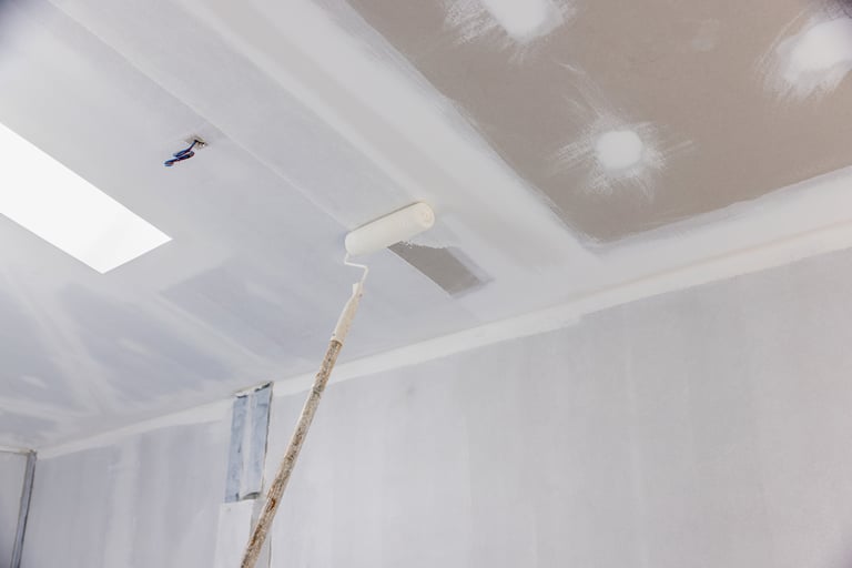Ceiling painting project